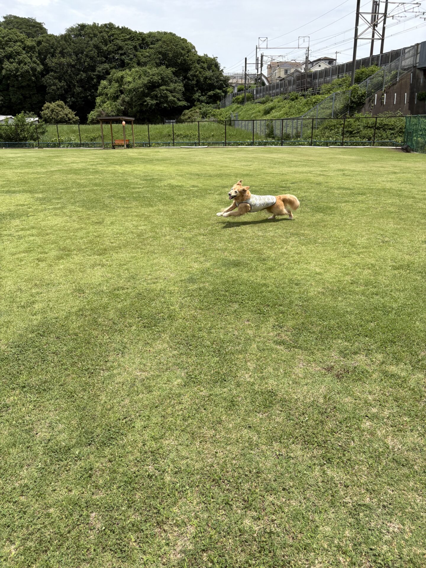 ファイル 8961-1.jpeg