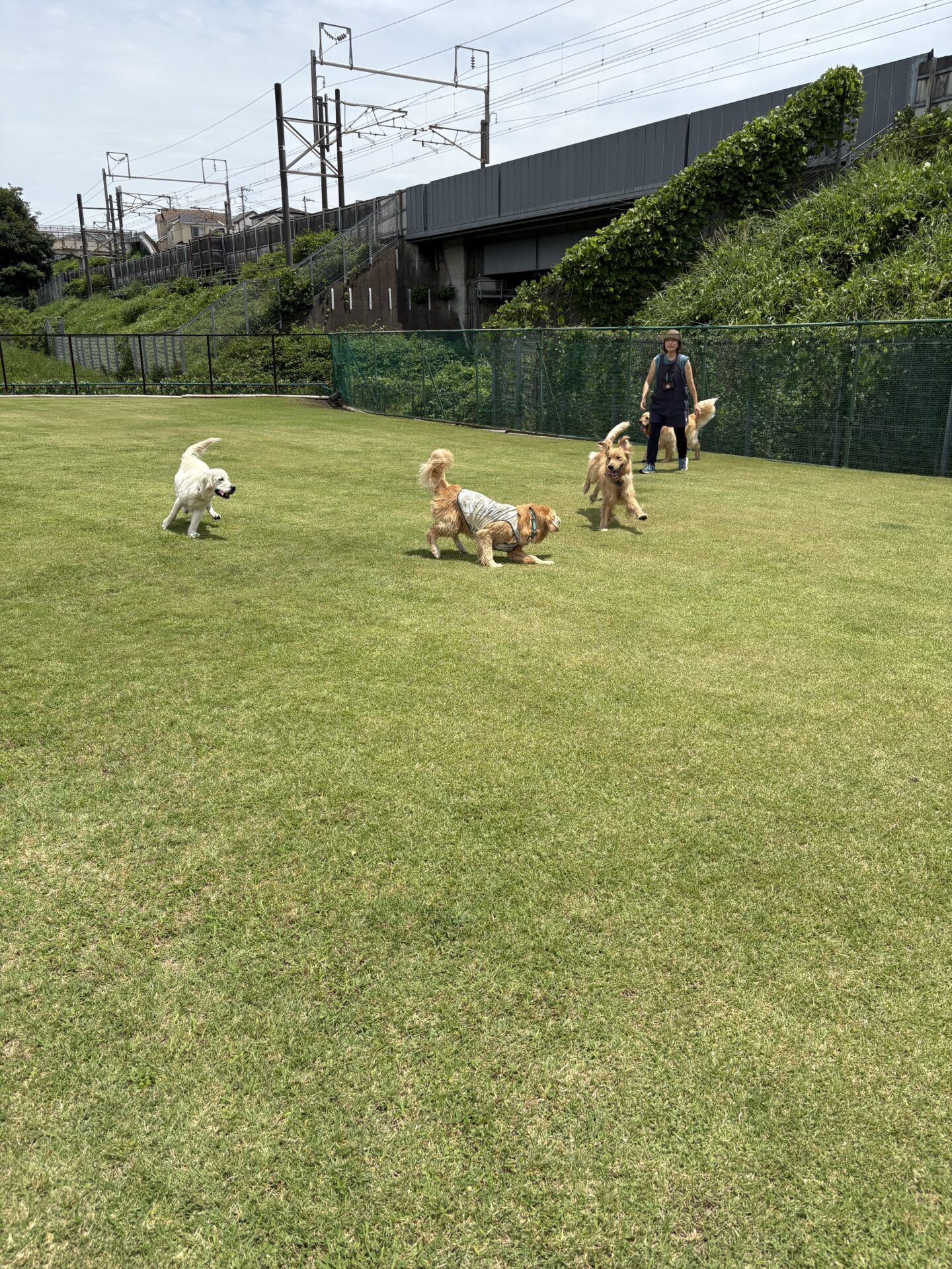 ファイル 8961-3.jpeg