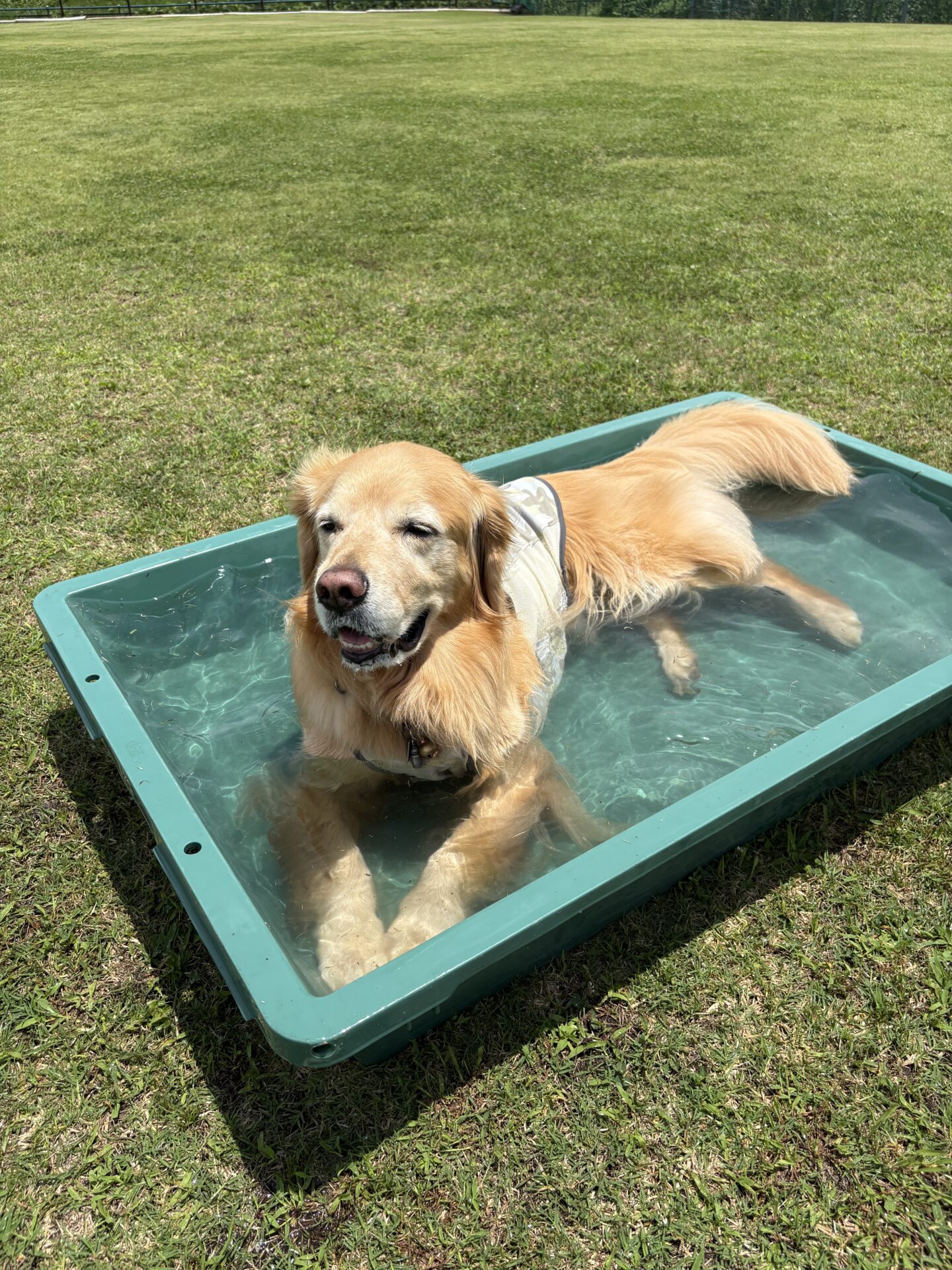 ファイル 8961-4.jpeg