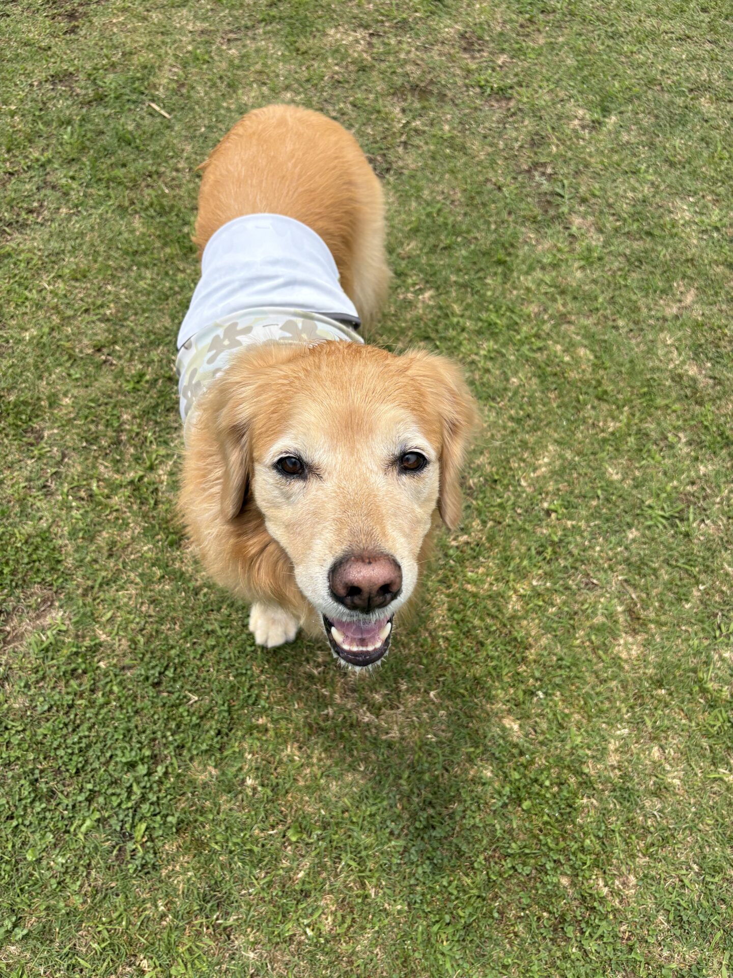 ファイル 8961-5.jpeg