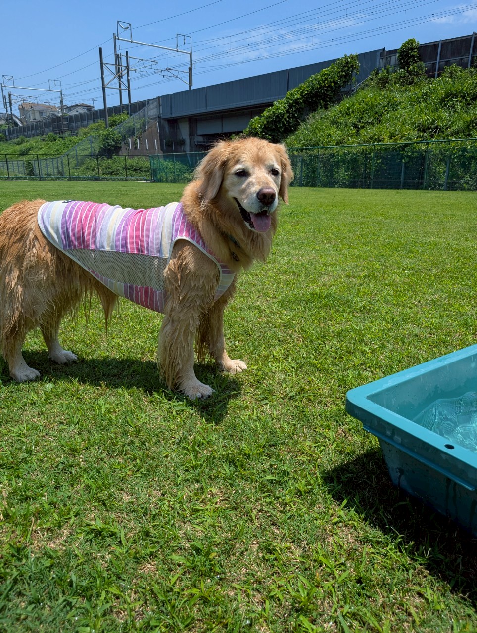 ファイル 8964-1.jpeg