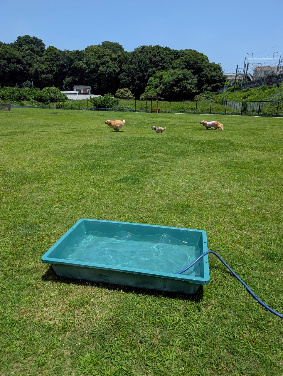 ファイル 8964-2.jpeg