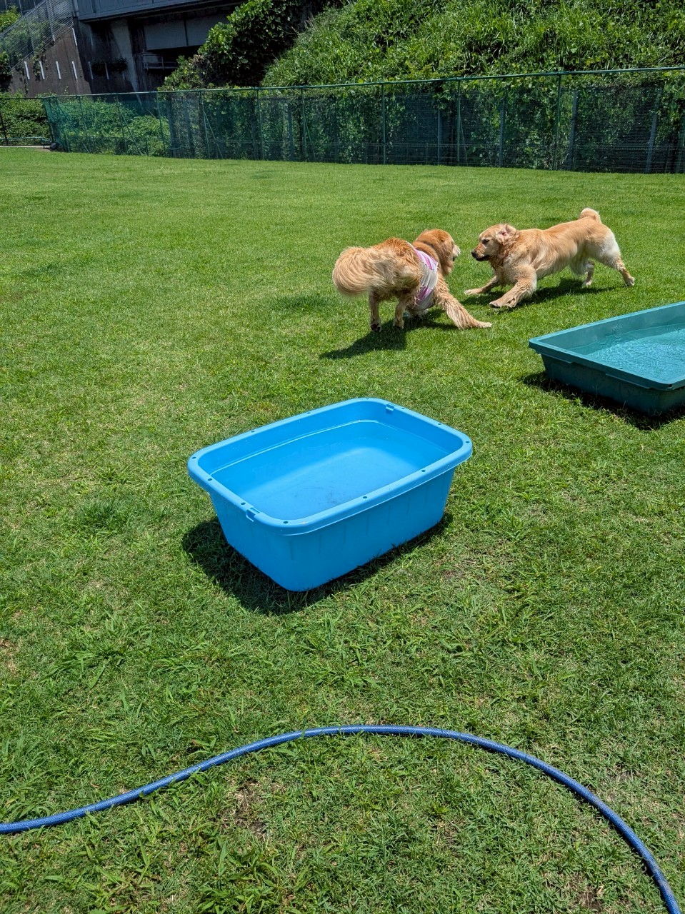 ファイル 8964-3.jpeg