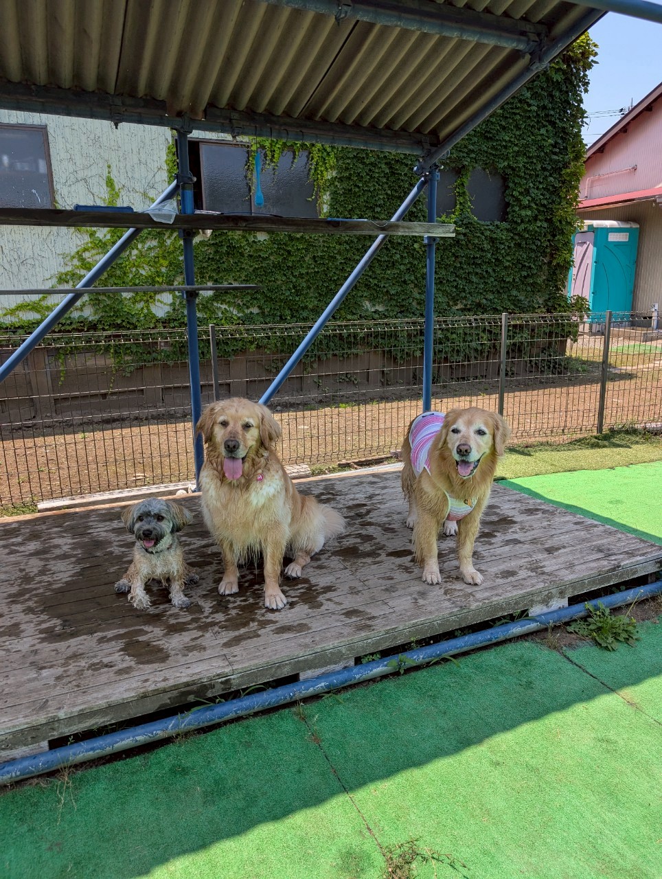 ファイル 8964-5.jpeg