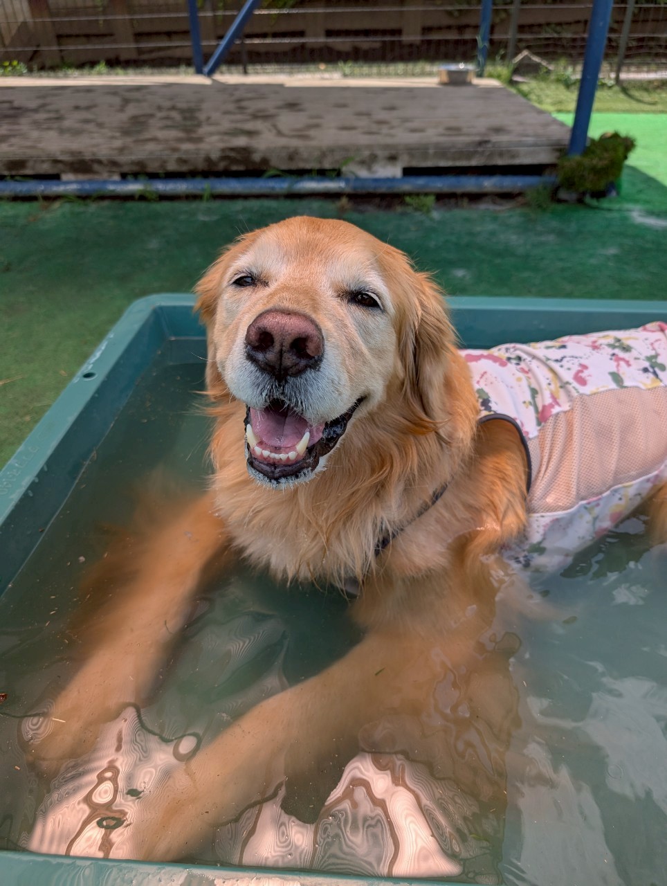 ファイル 8967-1.jpeg