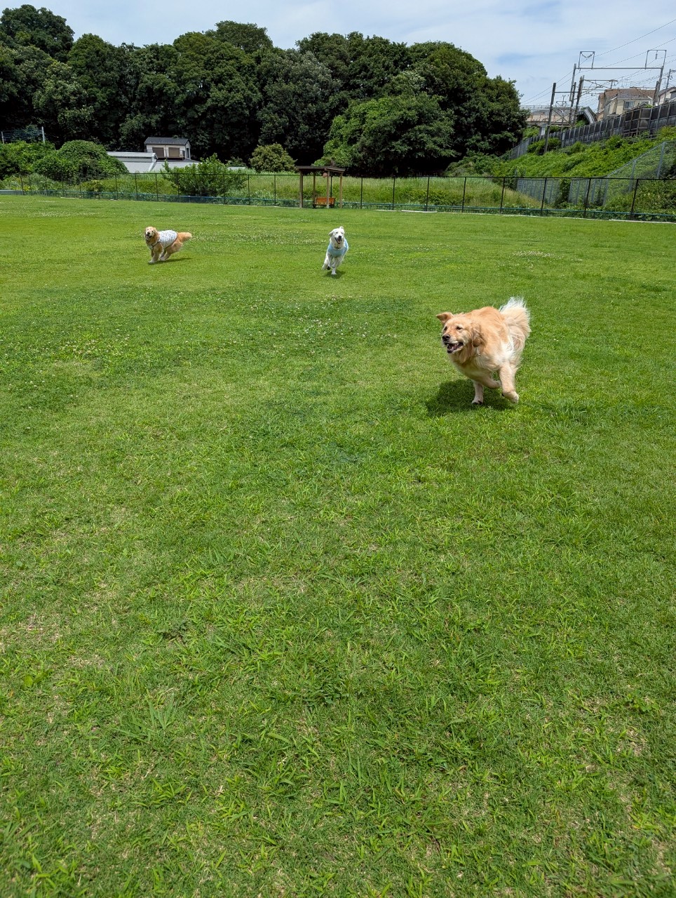 ファイル 8967-2.jpeg