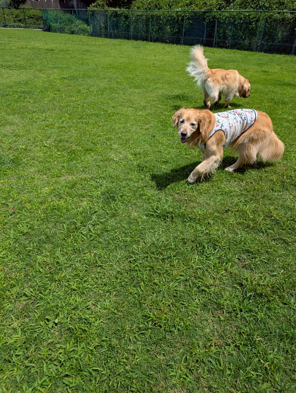 ファイル 8967-3.jpeg