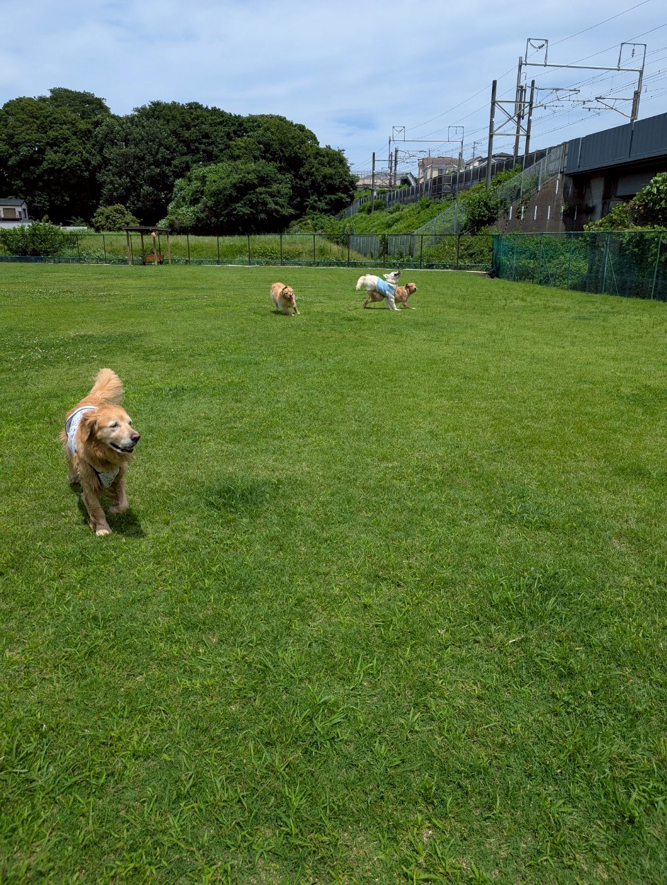 ファイル 8967-5.jpeg