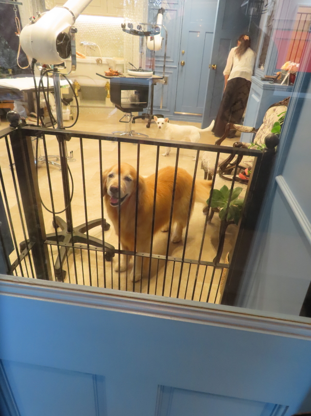 ファイル 8969-1.jpg