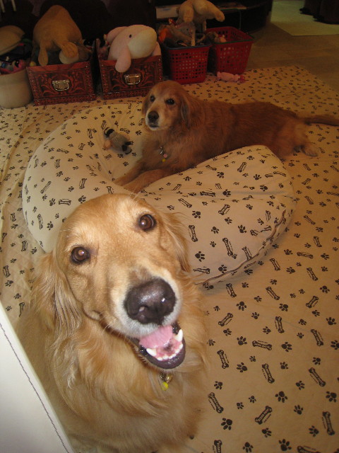 ファイル 897-2.jpg