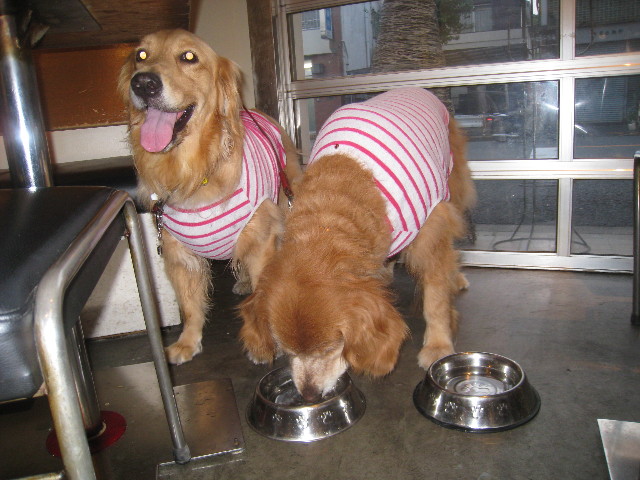 ファイル 897-4.jpg