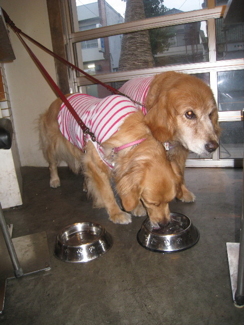 ファイル 897-5.jpg