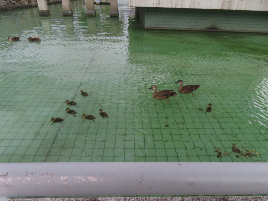 ファイル 8970-5.jpg