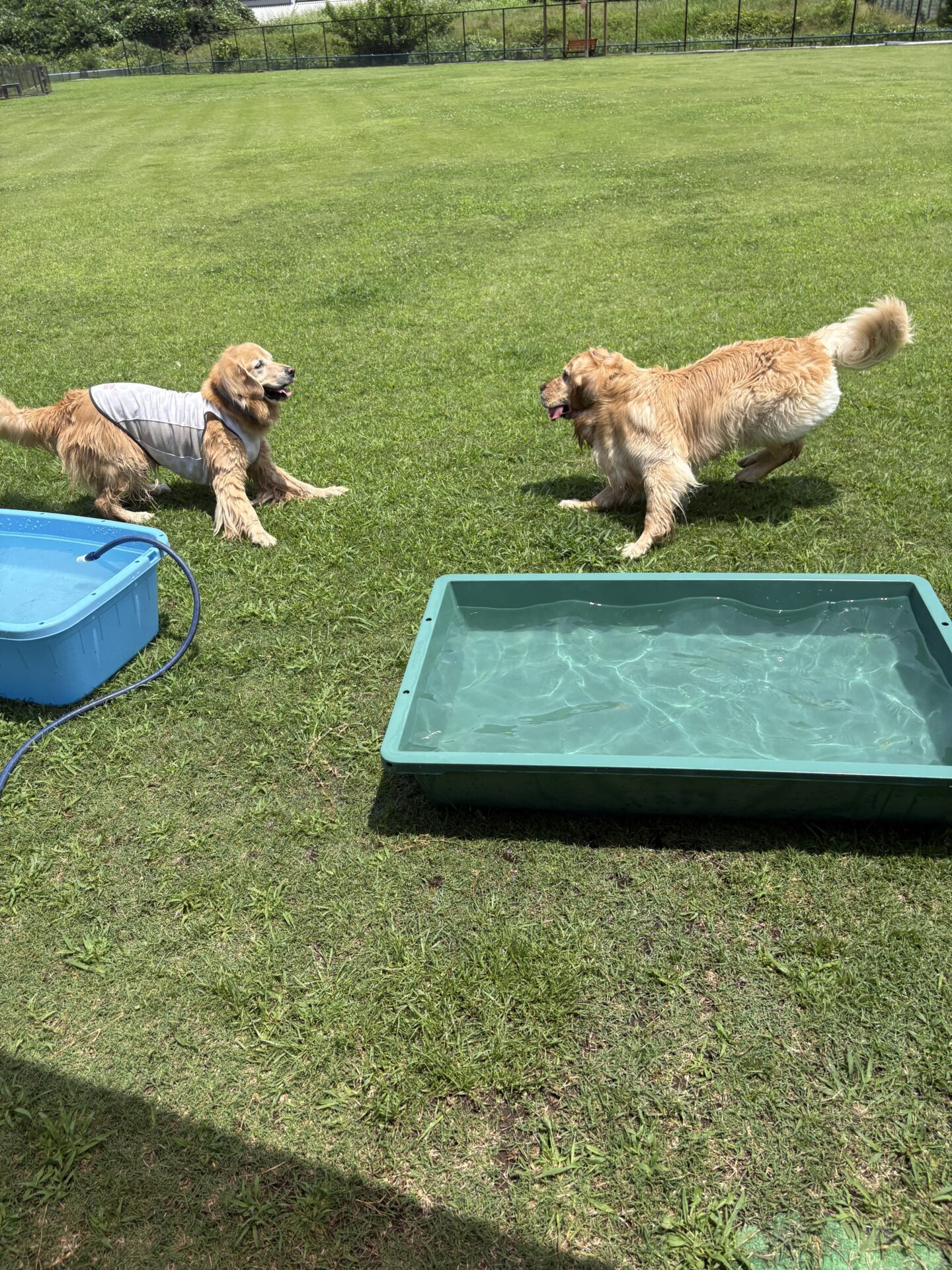 ファイル 8972-1.jpeg