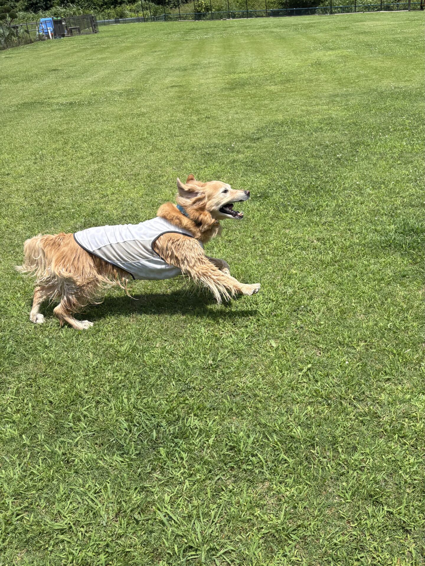 ファイル 8972-2.jpeg