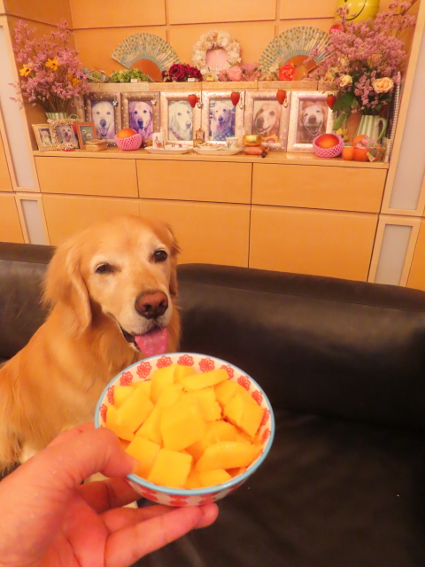 ファイル 8974-5.jpg