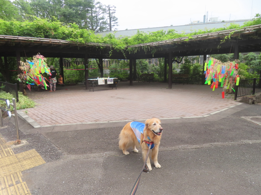 ファイル 8976-1.jpg