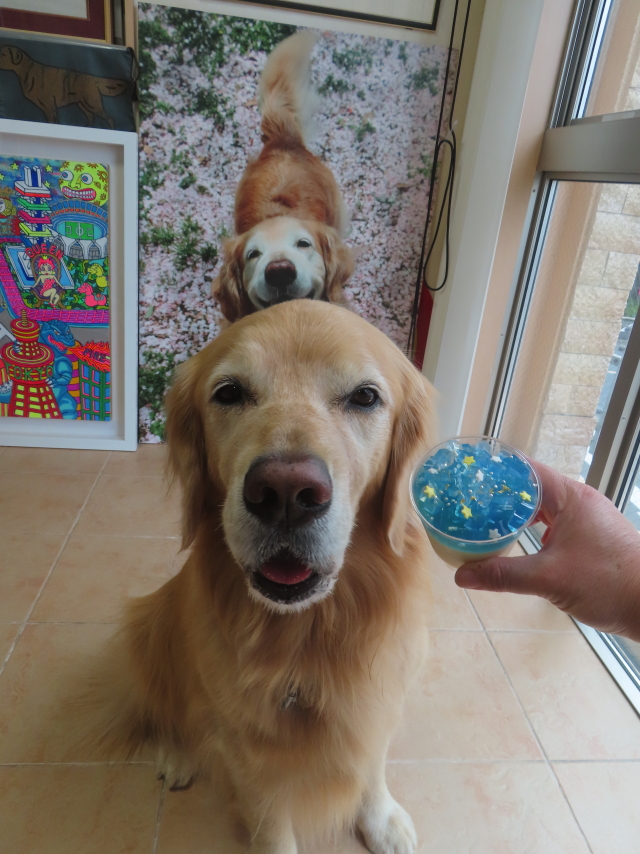 ファイル 8976-5.jpg