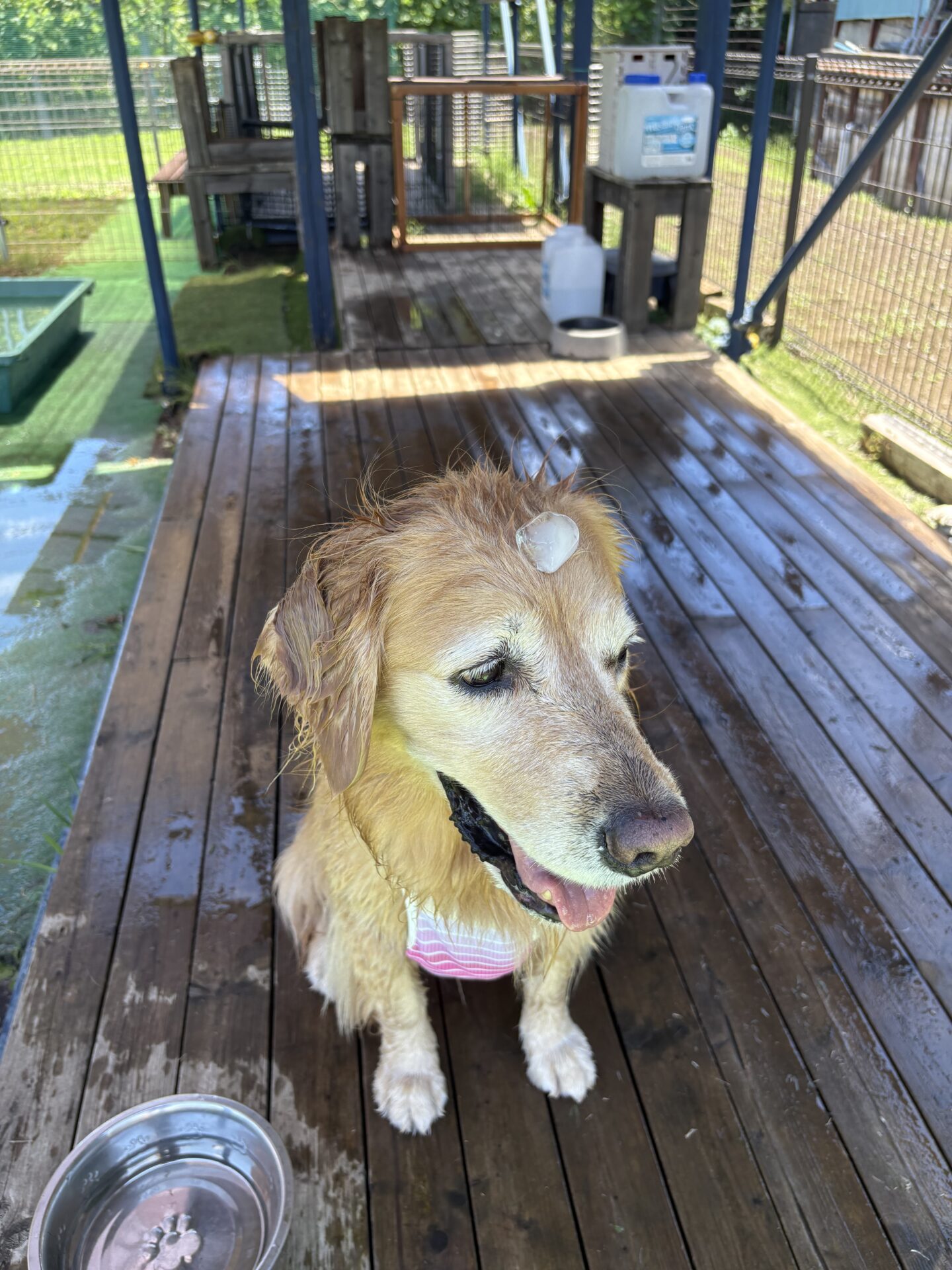 ファイル 8978-3.jpeg