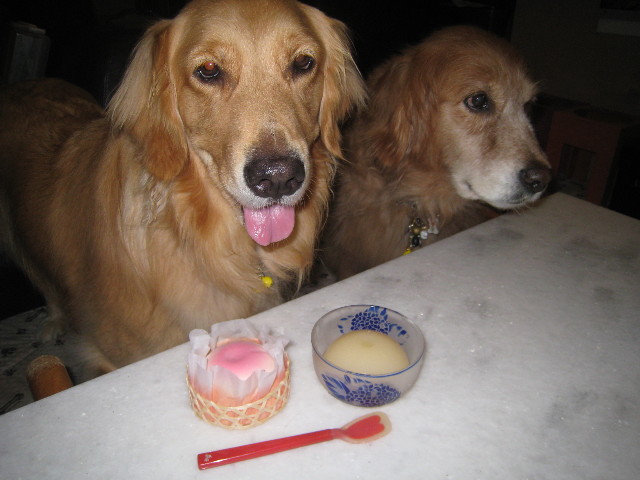 ファイル 898-1.jpg