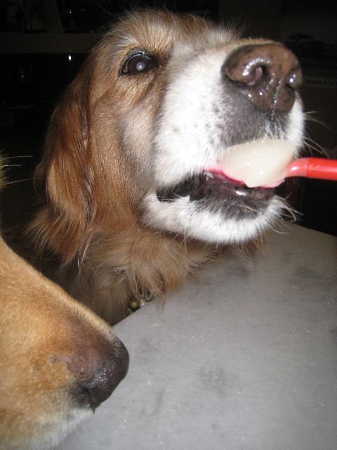 ファイル 898-2.jpg