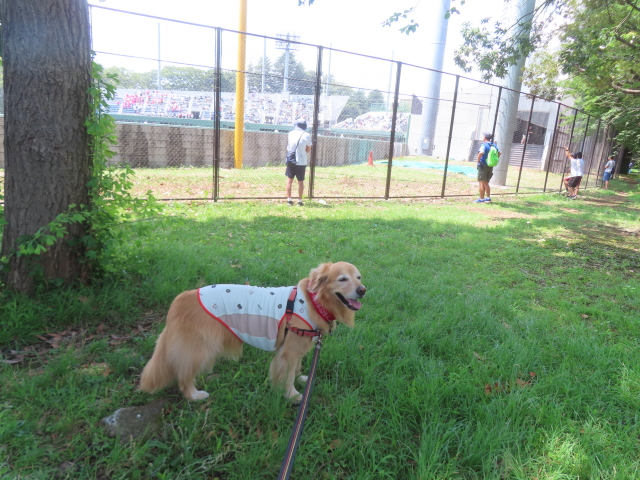 ファイル 8980-1.jpg