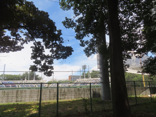 ファイル 8981-1.jpg