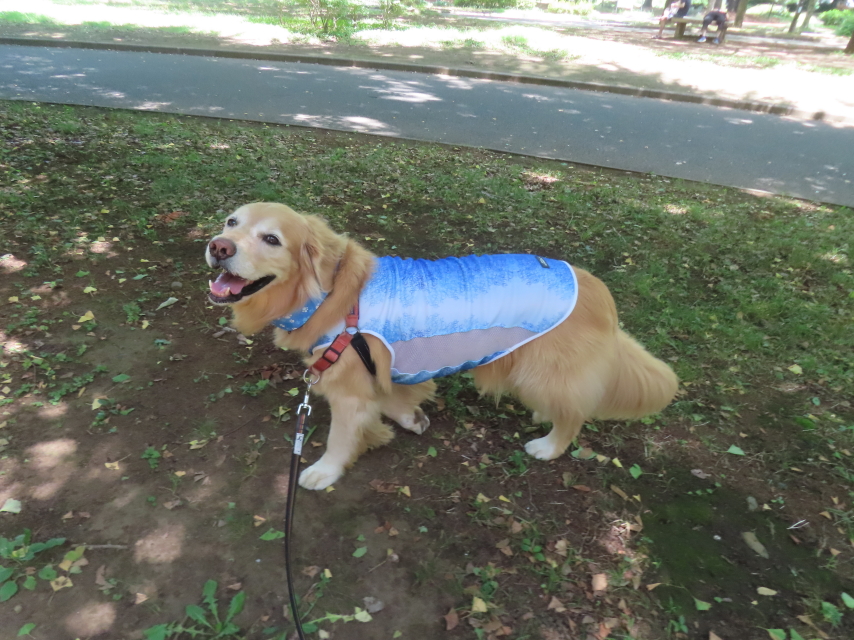 ファイル 8982-2.jpg