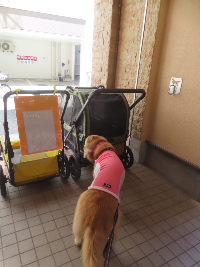 ファイル 8982-5.jpg