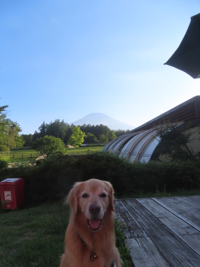 ファイル 8984-2.jpg