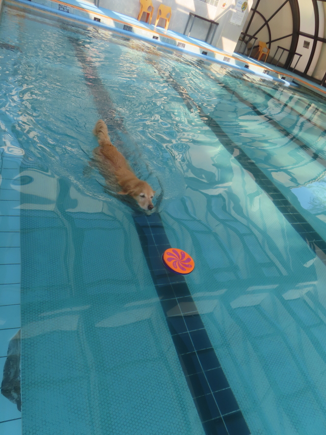 ファイル 8984-3.jpg