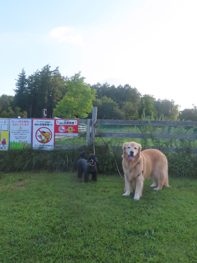 ファイル 8985-3.jpg