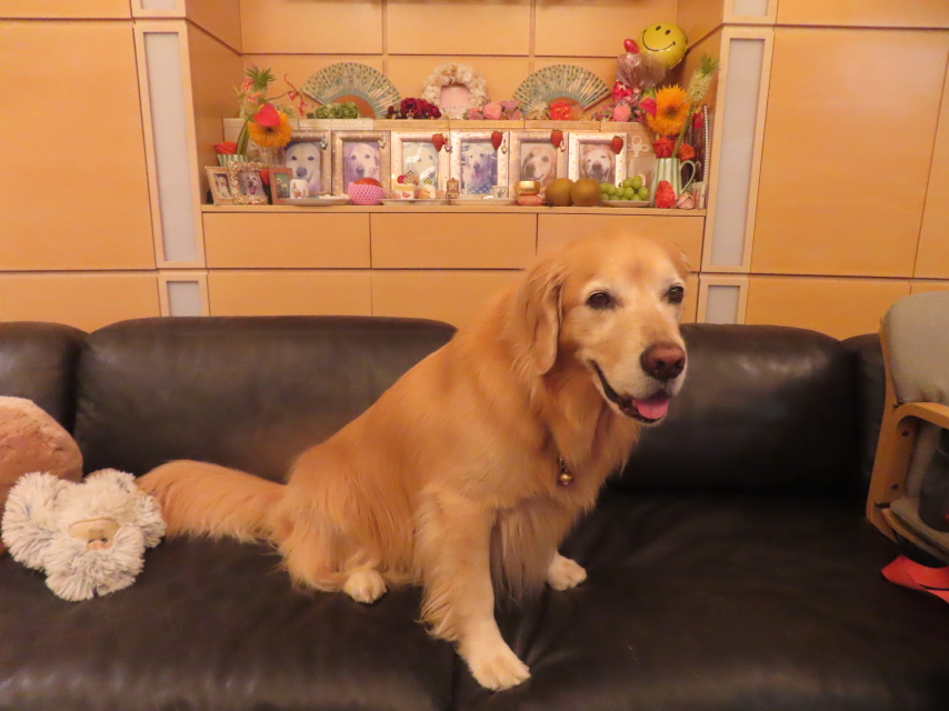 ファイル 8986-5.jpg