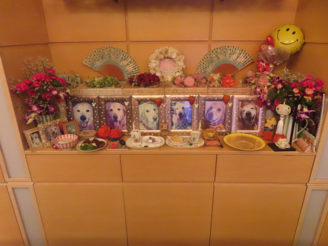 ファイル 8987-3.jpg