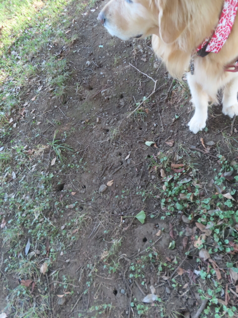 ファイル 8987-4.jpg