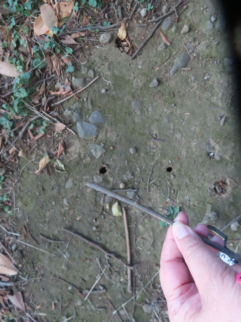 ファイル 8987-5.jpg