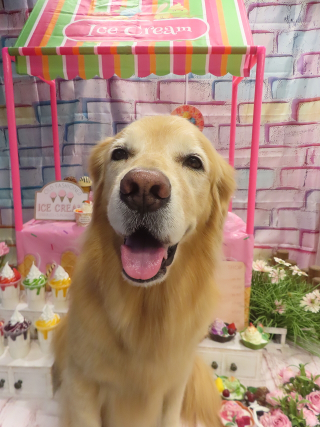 ファイル 8989-2.jpg