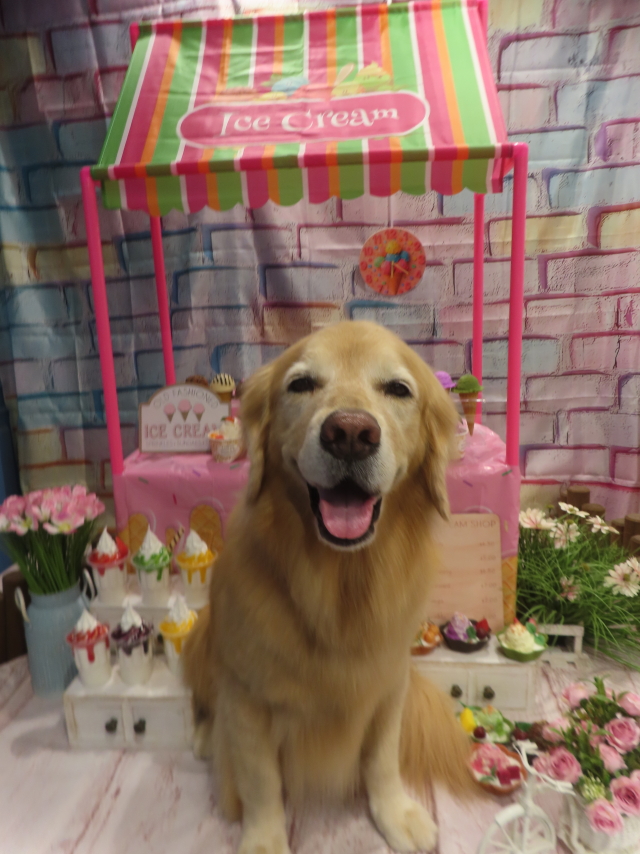 ファイル 8989-3.jpg