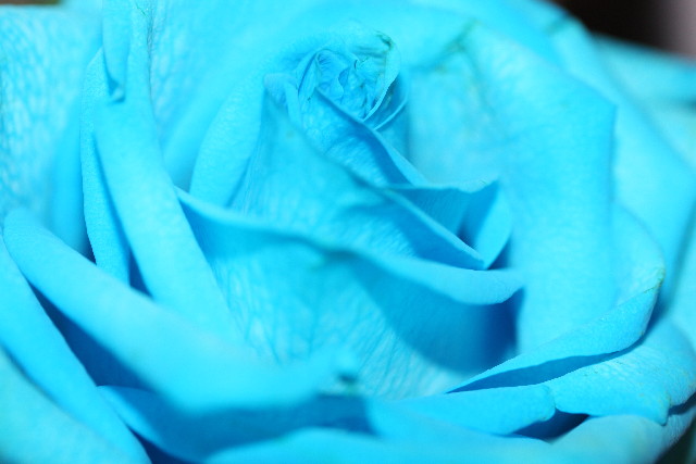 ファイル 899-1.jpg