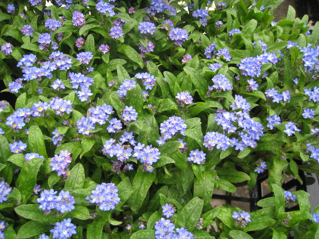 ファイル 899-3.jpg