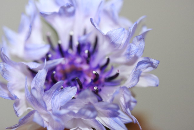 ファイル 899-4.jpg