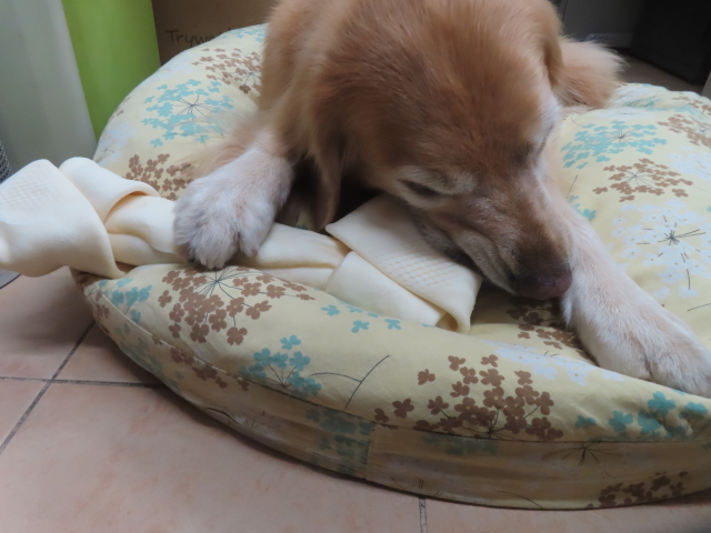 ファイル 8992-4.jpg