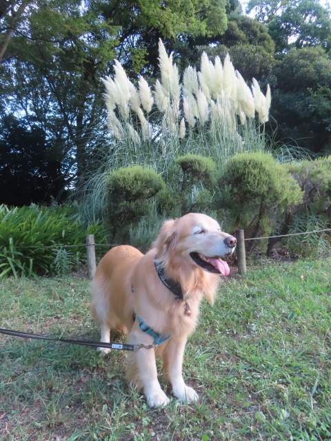 ファイル 8993-2.jpg