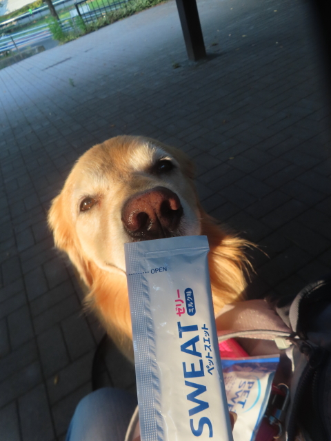 ファイル 8996-4.jpg