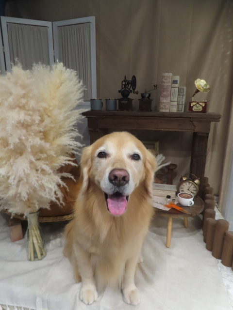 ファイル 8997-2.jpg