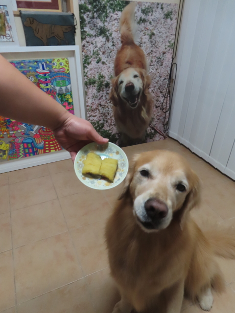 ファイル 8997-4.jpg