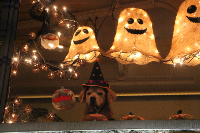 ファイル 8999-2.jpg