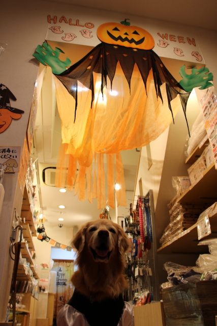 ファイル 8999-3.jpg