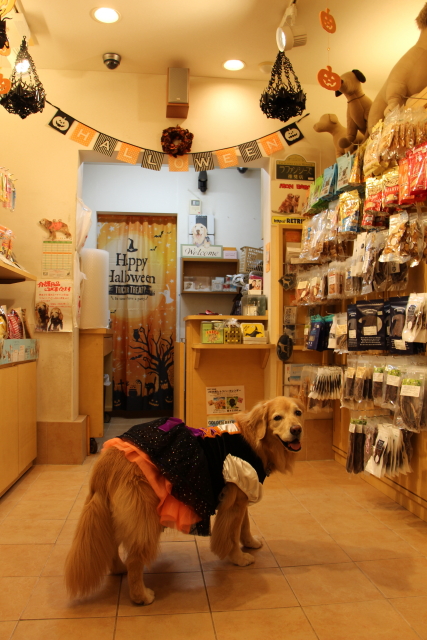 ファイル 8999-4.jpg