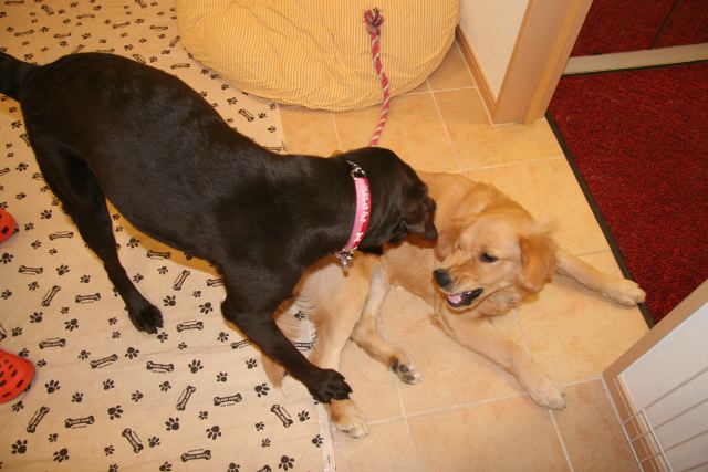 ファイル 90-1.jpg